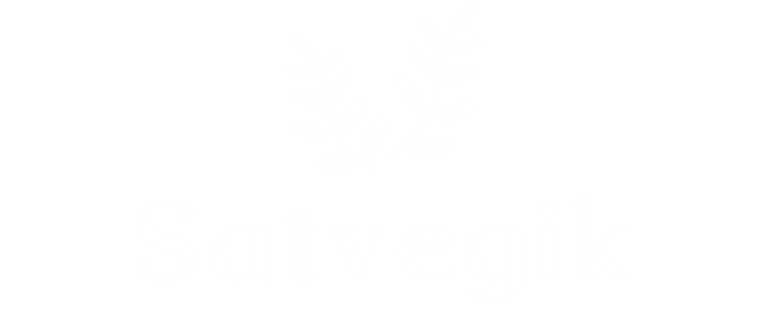 Satvegik Nutritional Bar Brand